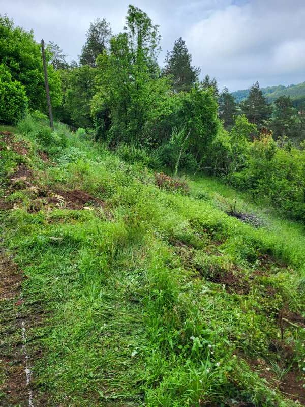 Talus avant travaux d'aménagement réalisés par l'entreprise SARL TCTP en Dordogne.